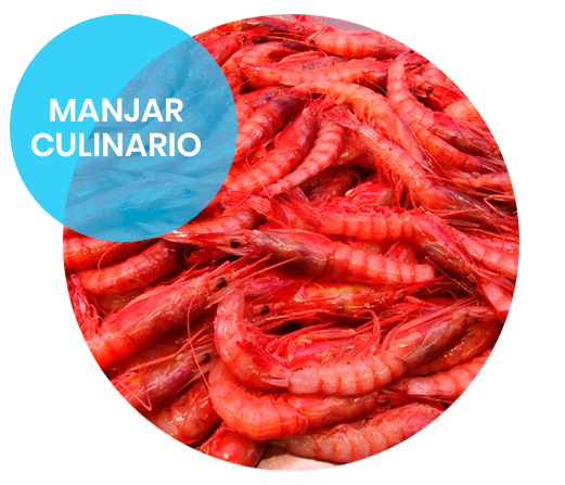Gamba roja Garrucha - Manjar - AD Pescado y Marisco - Garciden - Almería